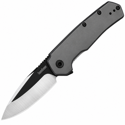 Kershaw - Thermal | 1411 Assisted Opening Knife - 2.95" 8Cr13MoV