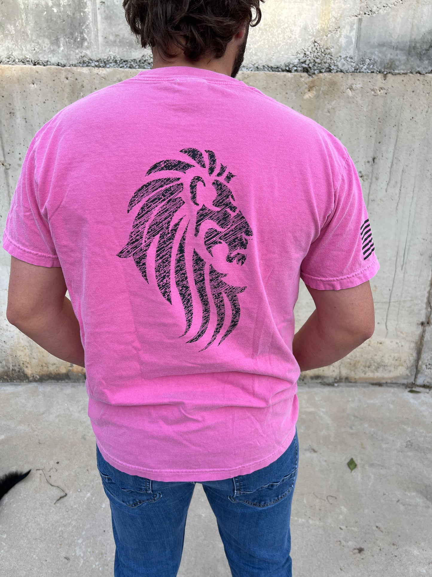 Habit Defense Shield Logo / Lion of Judah T-Shirt, Comfort Colors (Crunchberry)